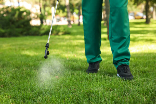 Professional Pest Control in Minooka, IL